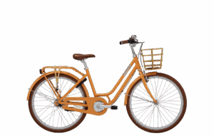 RETRO PIGECYKEL 24″ MANGO - CLARA
