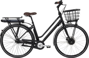 Raleigh Sussex E1 Dame 48cm 7g Shimano Nexus fodbremse mat sort