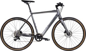Principia E Gravel Hr 54 cm NX Eagle 1X12 Flatbar Hydr disc incl batteri grå