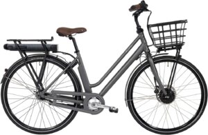 Raleigh Sussex E1 Dame 48cm 7g Shimano Nexus fodbremse mat grå