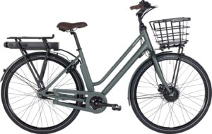Raleigh Sussex E1 Dame 48cm 7g Shimano Nexus fodbremse mat grågrøn