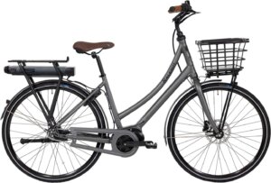 Raleigh Sussex E2 Dame 48cm 7g Shimano Nexus fodbremse mat grå