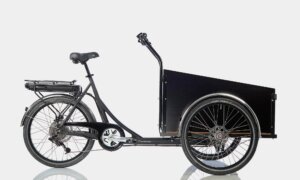 Christiania Classic Medium rearDrive